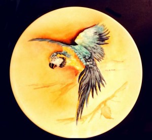 piatto porcellana con pappagallo Ara